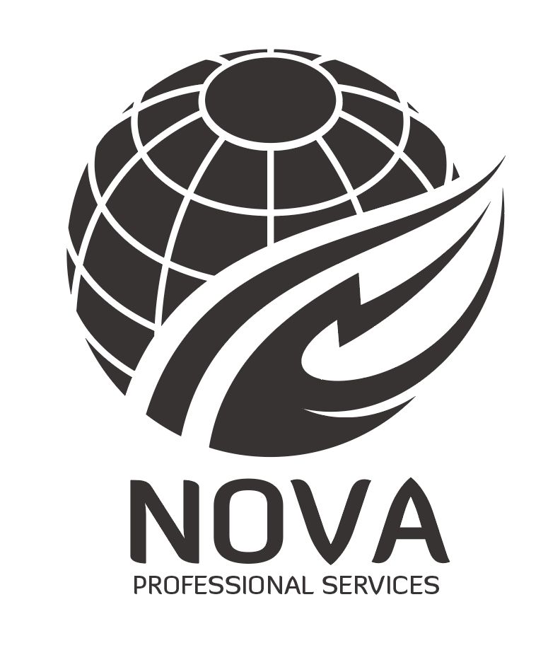 Professional Services Logo